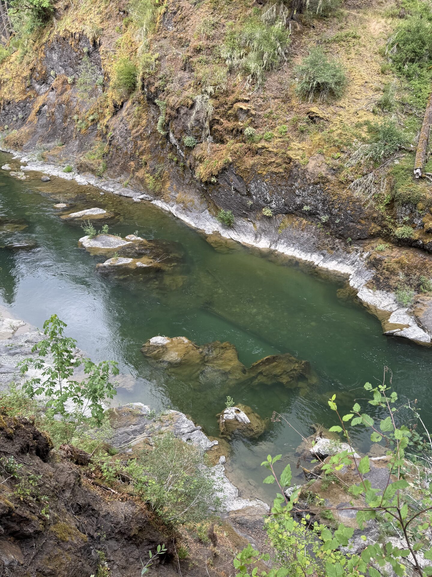 Clear green water of the Cowichan River winding through a rock canyon